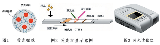 內(nèi)酰胺類(lèi)抗生素?zé)晒饪焖贆z測(cè)試紙條