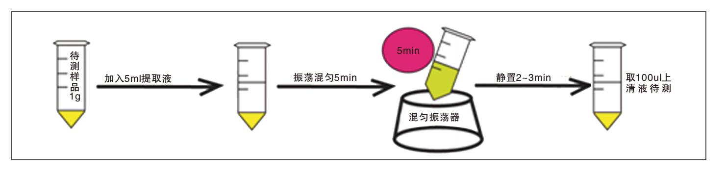 飼料中伏馬菌素?zé)晒饪焖贆z測試紙條