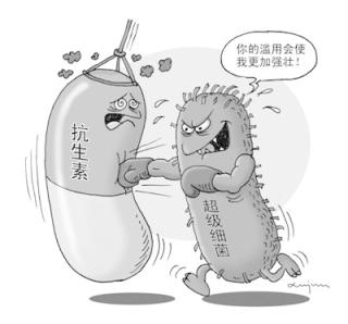 內(nèi)酰胺類(lèi)抗生素檢測(cè)卡