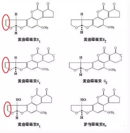 黃曲霉毒素結(jié)構(gòu)