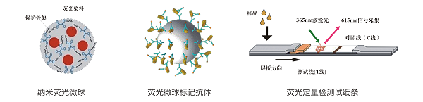 上海飛測(cè)生物花生和花生油中黃曲霉毒素B1快速定量檢測(cè)方案--8min準(zhǔn)確定量