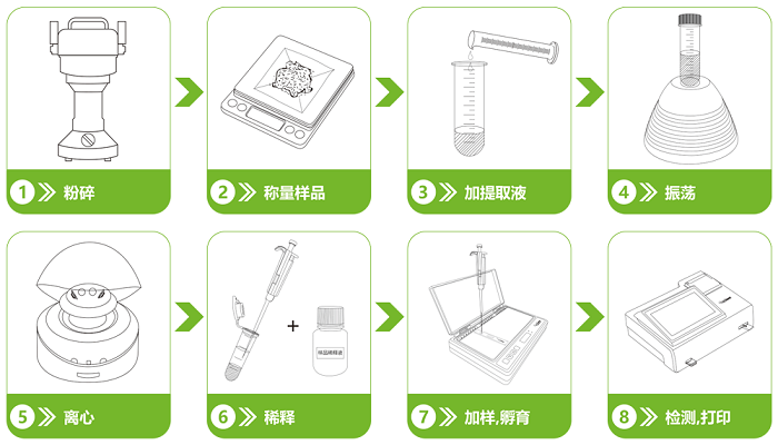 中藥材腈菌唑熒光定量快速檢測(cè)卡檢測(cè)流程